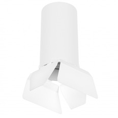 ზედაპირზე დამონტაჟებული ნათურა Lightstar R6486486