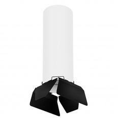 ზედაპირზე დამონტაჟებული ნათურა Lightstar R6496487