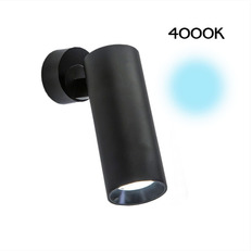 Спот Citilux CL01B121N