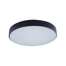 Накладной светильник LOFT IT 10002/24 Black