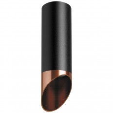 ჭერის ნათურა Lightstar Rullo (214487+201430) R487130