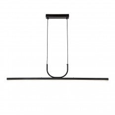 Подвесная светодиодная люстра Favourite Raya 4096-2P