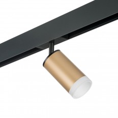 საჩვენებელი ნათურა Lightstar Rullo (214440+595057+202430) PRO44030