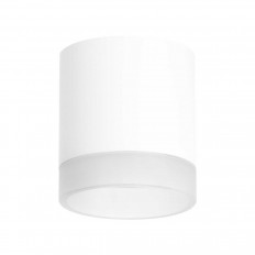 ჭერის ნათურა Lightstar Rullo (213486+202480) R348680