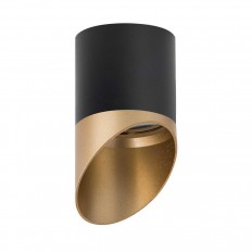 ჭერის ნათურა Lightstar Rullo (213487+201490) R34871490