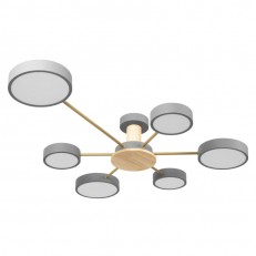 Накладной светильник LOFT IT 10316/6 Grey