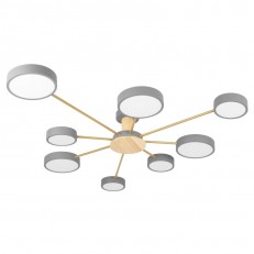 Накладной светильник LOFT IT 10316/8 Grey