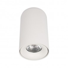 Накладной светильник LOFT IT 10220 White 4000K