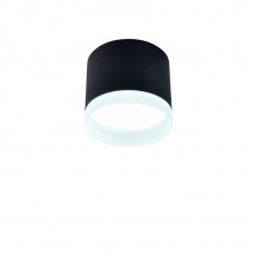 Накладной светильник Favourite 4214-1C