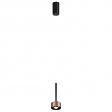 Подвесной светильник Favourite 4319-1P