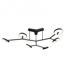 საყვარელი პარიტი 4401-6C უჯრედი