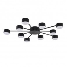 Накладная люстра LUMION 8344/10C