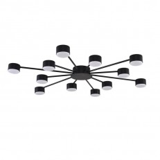 Накладная люстра LUMION 8344/12C