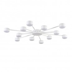 Накладная люстра LUMION 8343/12C