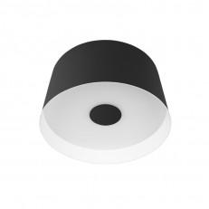 ზედაპირული ნათურა LOFT IT 10360S შავი