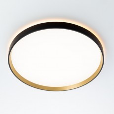 ზედაპირზე დამონტაჟებული ნათურა Citilux CL750401R