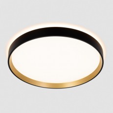 ზედაპირზე დამონტაჟებული ნათურა Citilux CL750321R