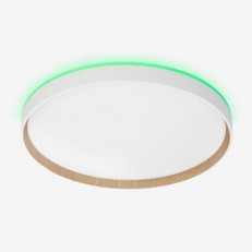 ზედაპირზე დამონტაჟებული ნათურა Citilux CL750400R