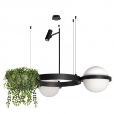 გულსაკიდი ნათურა LOFT IT 10121/2