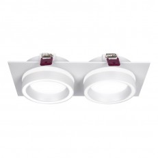 Встраиваемый светильник Favourite 4650-2C