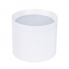 Накладной светильник Favourite 4708-1C