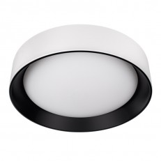 ზედაპირზე დამონტაჟებული ნათურა LOFT IT 10202 WB