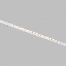 Светильник на шине Denkirs DK8102-WH