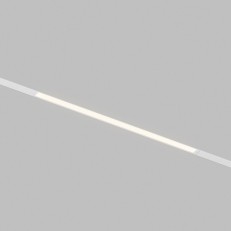 Светильник на шине Denkirs DK8105-WH