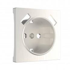 W1179513 Werkel საფარის ფირფიტა USB სოკეტისთვის (მარგალიტის ღარში)