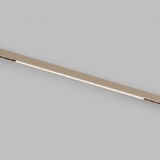 Светильник на шине Denkirs DK4952-CP