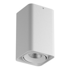 ჭერის LED ნათურა Lightstar Monocco 052136