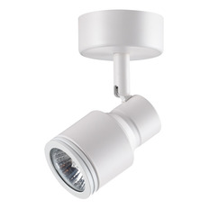 Spot Novotech Pipe 370396