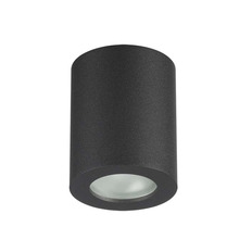ჭერის ნათურა Odeon Light Aquana 3572/1C