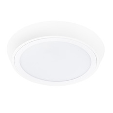 Уличный светильник Lightstar 216902