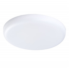Влагозащищенный светильник Lightstar 221362