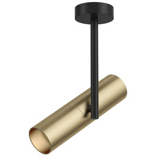 Потолочный светильник Maytoni Elti C020CL-01GB