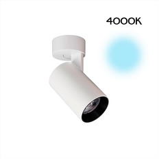 სპოტი Citilux CL01B070N