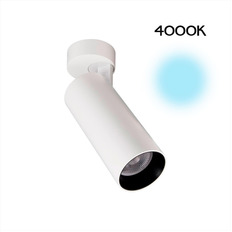 სპოტი Citilux CL01B180N