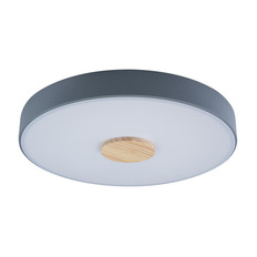 ზედაპირული ნათურა LOFT IT 10003/24 ნაცრისფერი