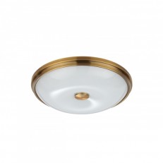 Накладной светильник Odeon Light 4956/4