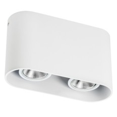 Светильник точечный накладной Lightstar RULLO 214866