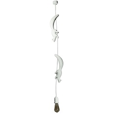 Подвесной светильник LOFT IT Sherwood 10093