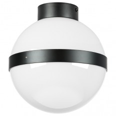 Настенно-потолочный светильник Lightstar Globo 812117