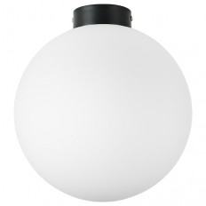 Настенно-потолочный светильник Lightstar Globo 812037