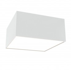 ჭერის ნათურა ტექნიკური C067CL-L12W4K