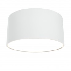 ჭერის ნათურა ტექნიკური C032CL-L12W3K