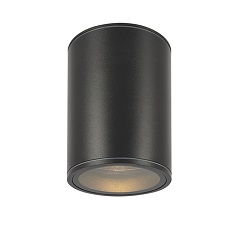 ჭერის ნათურა გარე O306CL-L7GF