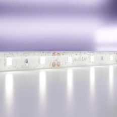 LED წყალგაუმტარი ზოლი Maytoni Technical 7.2W/m ცივი თეთრი 5M 20006წ.