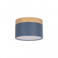 ზედაპირზე დამონტაჟებული LED ნათურა Loft IT Grape 10162 ლურჯი
