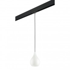 Трековый светильник Lightstar Pentola (803030+595007) PRO803030